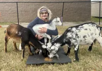 Summer Goat Yoga  – Image 3