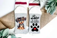 Papa de chien (chien noir avec boucle bleu) – Moyen