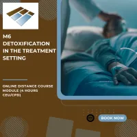 M6 Detoxification in the Treatment Setting - 4 Hours CEU/CPD – Image 1
