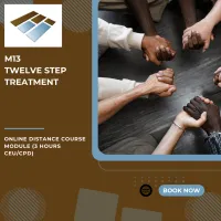 M13 Twelve Step Treatment - 4 Hours CEU/CPD – Image 1