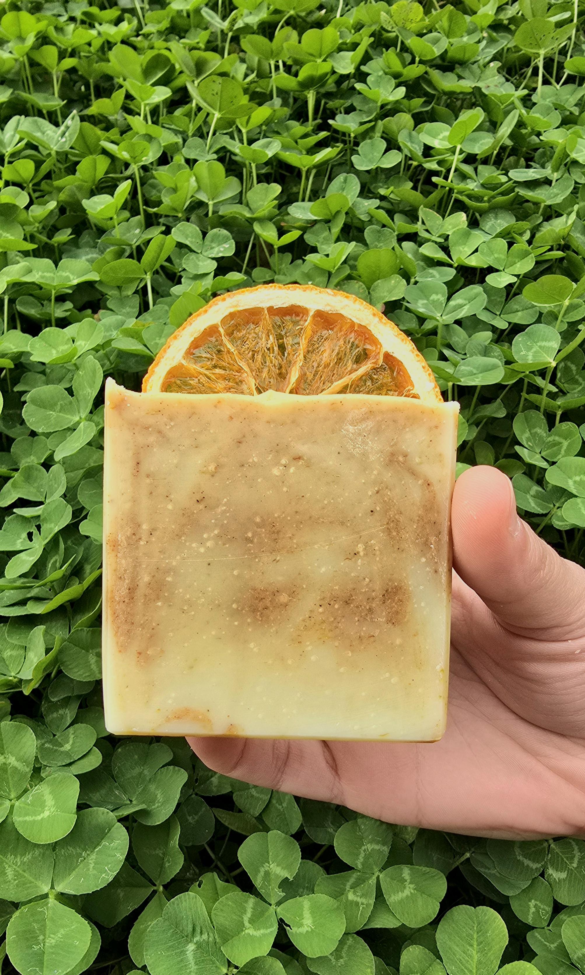 Orange Bliss – Image 2