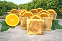 Orange Bliss – Image 1