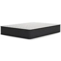 Limited Edition Firm Mattress – Twin