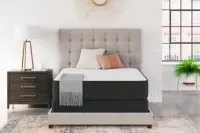 Limited Edition Firm Mattress – Twin XL