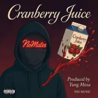 CRANBERRY JUICE – Image 1
