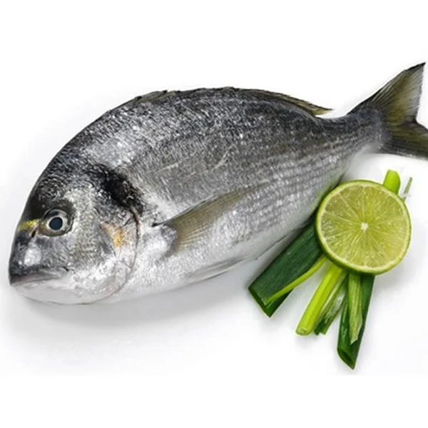 Sea Bream / Bakoko – Image 1