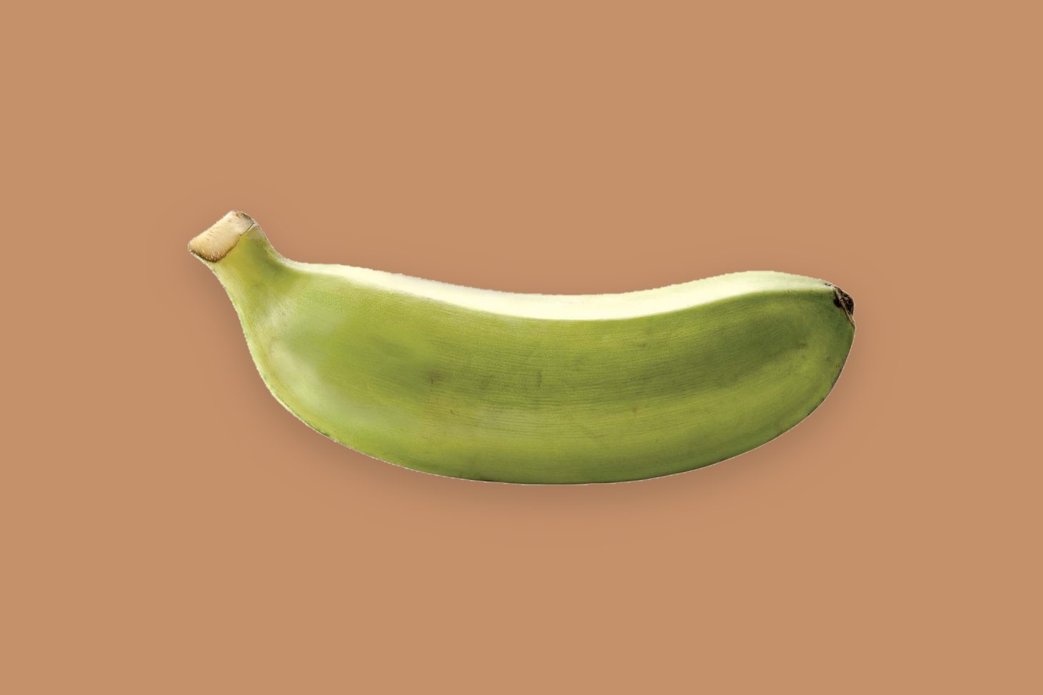 Ugandan matoke green cooking bananas