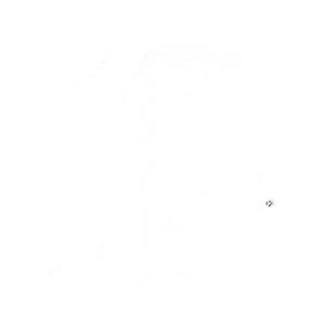 The Real Estate Guy — Chris Dunham