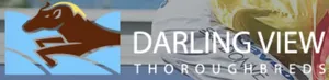 Darling View Thoroughbreds