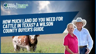 How Much Land Do You Need for Cattle in Texas? A Wilson County Buyer's Guide