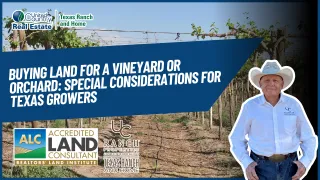 Buying Land for a Vineyard or Orchard: Special Considerations for Texas Growers