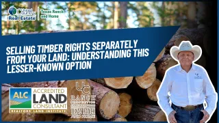 Selling Timber Rights Separately from Your Land: Understanding This Lesser-Known Option