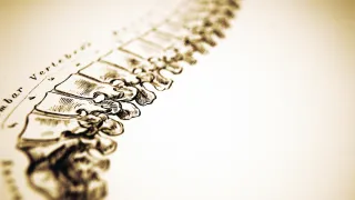 Endoscopic Spine Surgery Lewisville TX: A Complete Guide to Minimally Invasive Spine Treatment and Faster Recovery