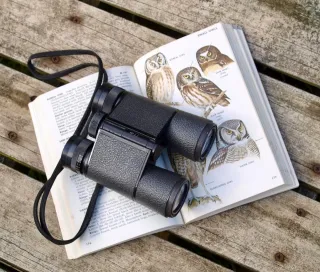 CALMING HOBBY IDEAS