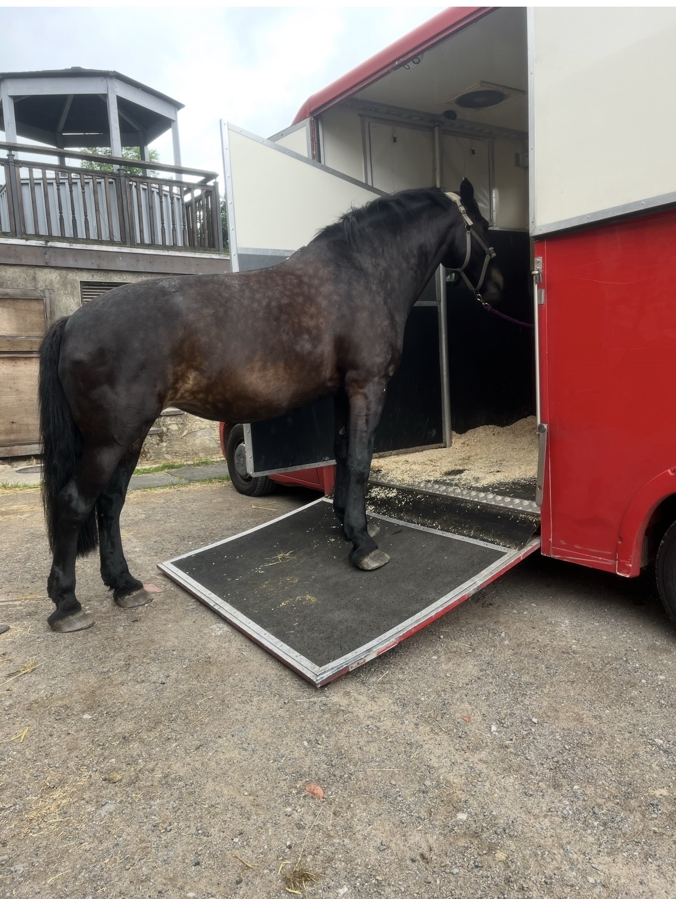 Why horseboxes and trailers get pinched?