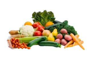 Vegetable Storage 101