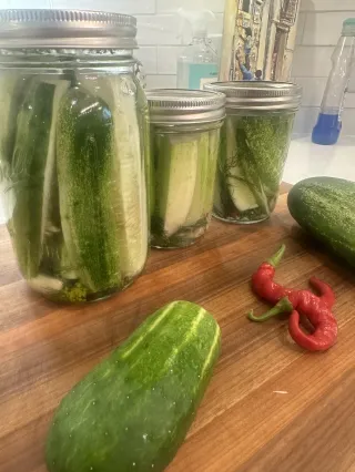 Fermented Pickles Beat Hot-Processed Every Time