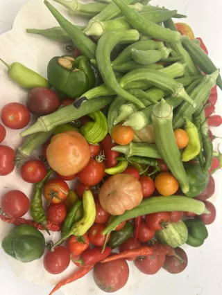 Why Tomatoes and Okra Belong Together