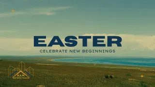 Why Spring Is the Best Time to Invest in Rent-To-Own Real Estate