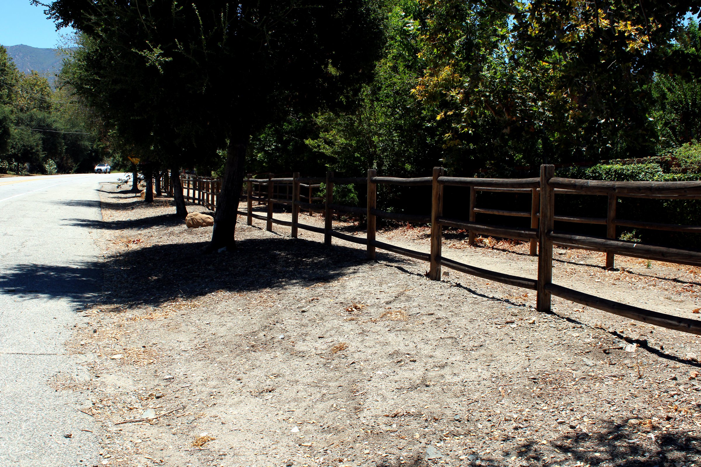 Wildfire Readiness in Canyon Country | Dubner