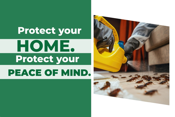 Residential Pest Control Services in Fort Myers – Stop Infestations Before They Spread