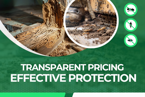 How Much Does Pest Control Cost in Fort Myers?