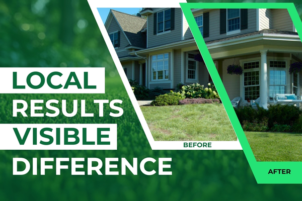 Lawn Maintenance in Fort Myers – Visible Results from Local Projects