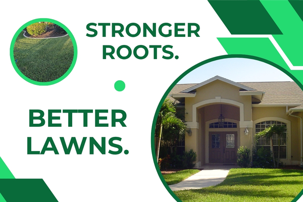 Residential Lawn Care in Fort Myers – A Homeowner’s Guide to a Greener Yard