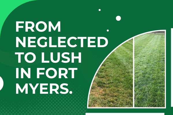 Reviving a Neglected Fort Myers Lawn – A Real Home Case Study