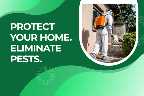 Residential Pest Control Services in Fort Myers – Protecting Your Home Year-Round