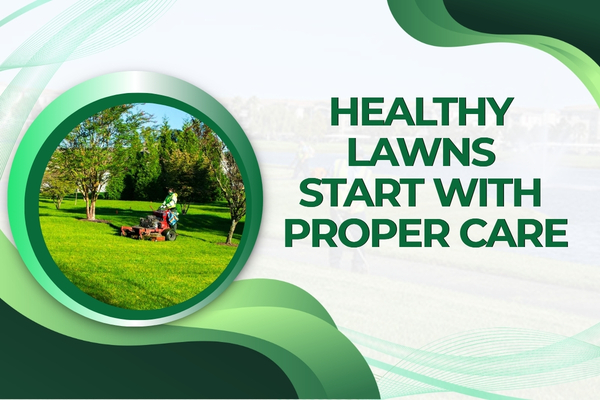Complete Lawn Maintenance Services in Fort Myers – What Every Homeowner Should Know