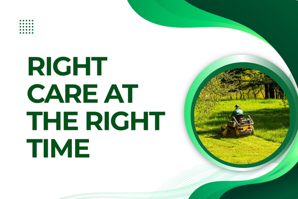 Year-Round Lawn Maintenance in Fort Myers – Seasonal Care Explained