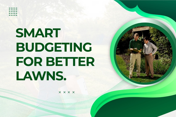How Much Should You Budget for Lawn Maintenance in Fort Myers?