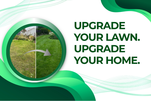 Fort Myers Lawn Upgrade – Transforming a Basic Yard into a Standout Property