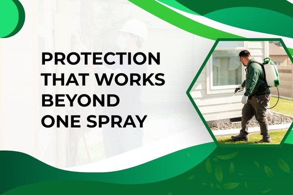 Why Year-Round Pest Protection Matters for Homes in Fort Myers