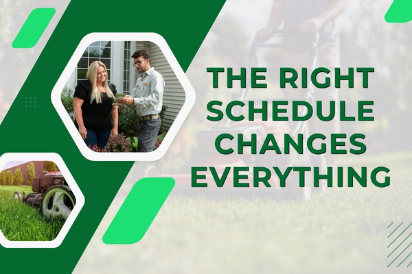 Weekly vs Bi-Weekly Lawn Maintenance in Fort Myers – Which Is Better?