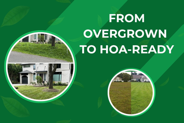 Fort Myers Overgrown Yard Cleanup – Lawn Maintenance Success Story