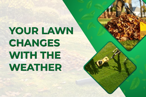 Seasonal Lawn Maintenance in Fort Myers – Preparing Your Yard for Every Weather Shift