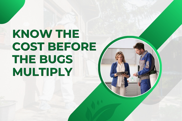 How Much Should You Expect to Pay for Pest Control in Fort Myers?