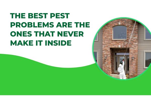 How Routine Perimeter Treatments Helped One Fort Myers Family Stay Ahead of Household Pests