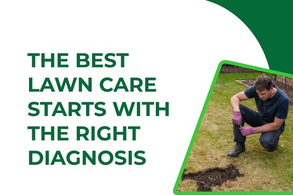 Professional Lawn Health Assessments in Fort Myers – Finding the Cause Before the Grass Fails