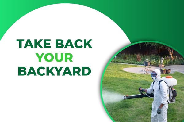 Professional Mosquito Control in Fort Myers – Creating Outdoor Spaces Families Can Enjoy Again