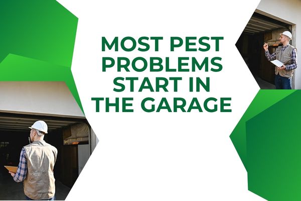 How Garage-Focused Pest Protection Helped a Fort Myers Home Stay More Comfortable
