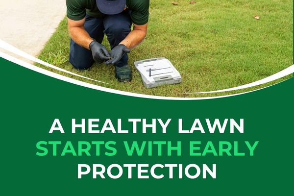 Professional Lawn Disease Management in Fort Myers – Protecting Healthy Grass Before Damage Spreads