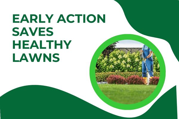 How Professional Lawn Disease Care Helped Restore a Fort Myers Lawn Before Permanent Damage Occurred
