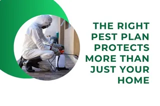 How Much Does Outdoor Pest Control Cost in Fort Myers? What Homeowners Should Know Before Choosing a Plan