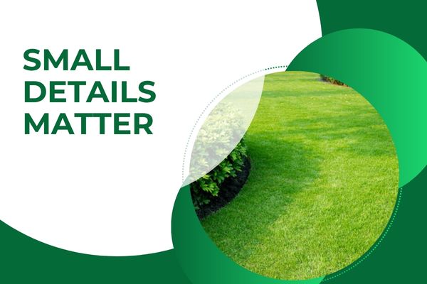 How Consistent Lawn Care Made a Fort Myers Yard Look More Put Together