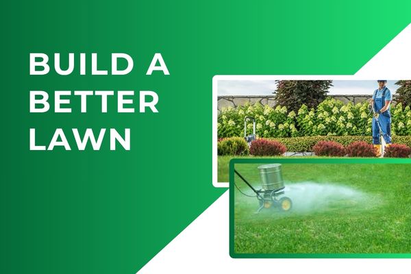 Lawn Care in Fort Myers – Building a Better Routine for Your Turf