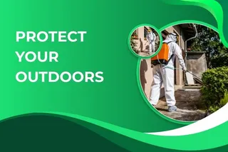Professional Outdoor Pest Control in Fort Myers – Protecting the Spaces Around Your Home