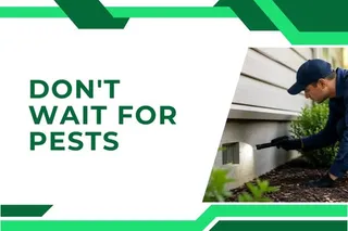 When Should You Start Pest Control in Fort Myers? Timing Your Protection Around Pest Activity